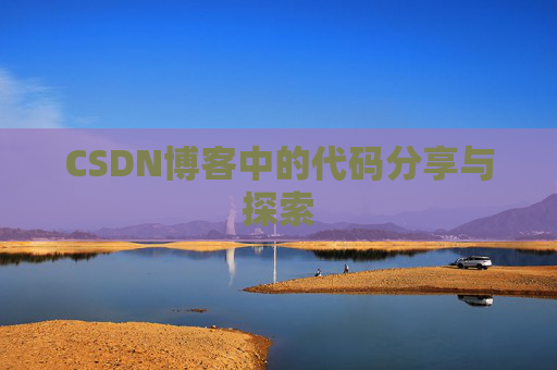 CSDN博客中的代码分享与探索