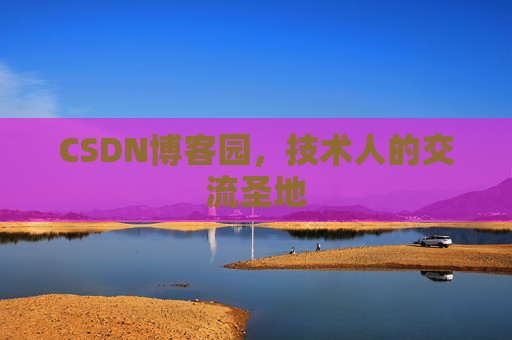 CSDN博客园，技术人的交流圣地